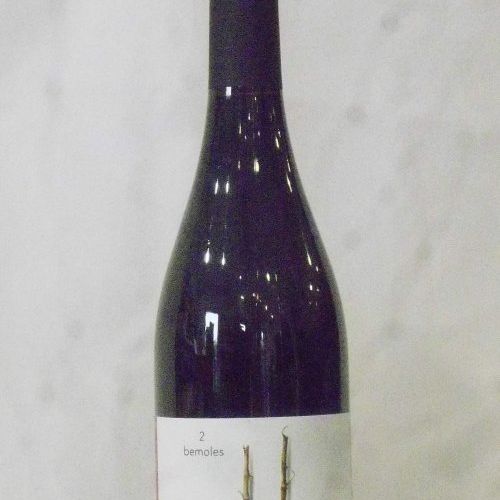 2 bemoles syrah (2)