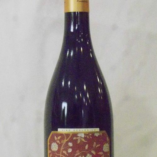 ijalba graciano (2)